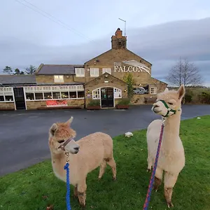 https://the-falcon-inn-ravenscar.yorkshirehotels.net